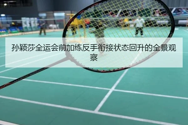 孙颖莎全运会前加练反手衔接状态回升的全景观察